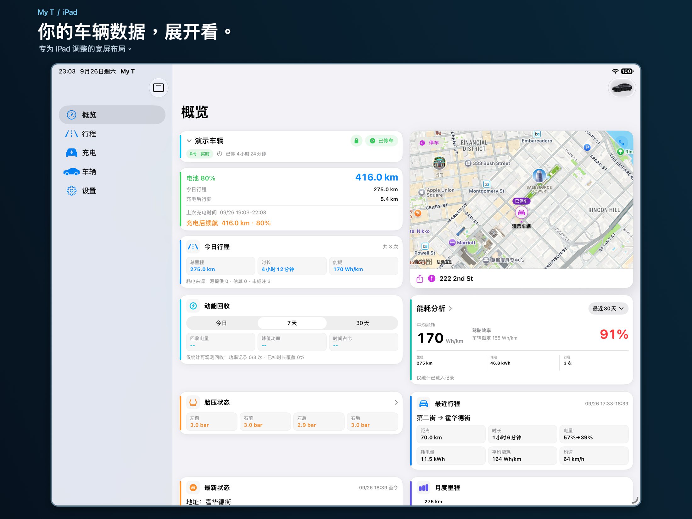 My T 在 iPad 上的车辆概览网格
